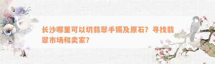 长沙哪里可以切翡翠手镯及原石？寻找翡翠市场和卖家？