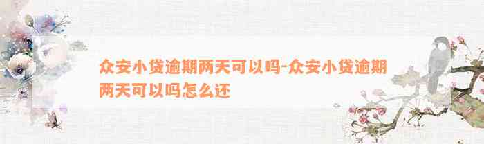 众安小贷逾期两天可以吗-众安小贷逾期两天可以吗怎么还