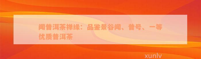 闻普洱茶禅缘：品鉴景谷闻、普号、一等优质普洱茶