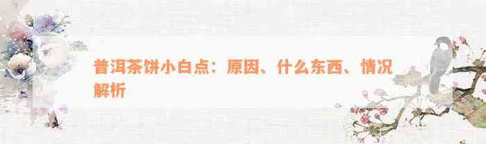 普洱茶饼小白点：原因、什么东西、情况解析