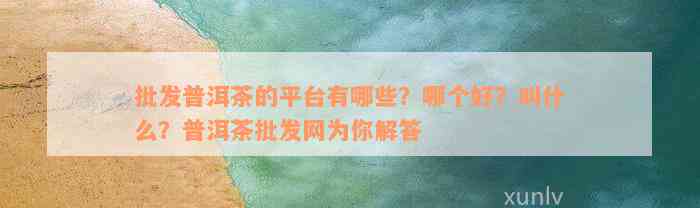 批发普洱茶的平台有哪些？哪个好？叫什么？普洱茶批发网为你解答