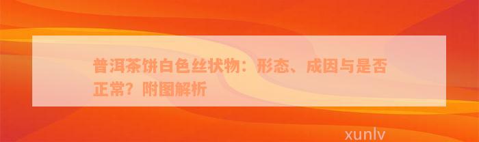 普洱茶饼白色丝状物：形态、成因与是否正常？附图解析