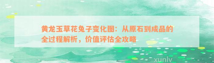 黄龙玉草花兔子变化图：从原石到成品的全过程解析，价值评估全攻略