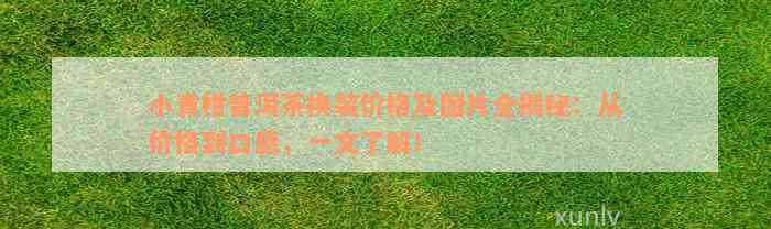 小青柑普洱茶换装价格及图片全揭秘：从价格到口感，一文了解！