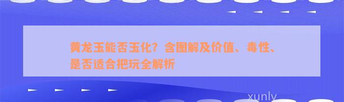 黄龙玉能否玉化？含图解及价值、毒性、是否适合把玩全解析