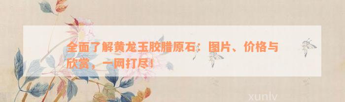 全面了解黄龙玉胶腊原石：图片、价格与欣赏，一网打尽！