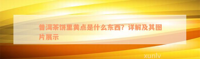 普洱茶饼里黄点是什么东西？详解及其图片展示