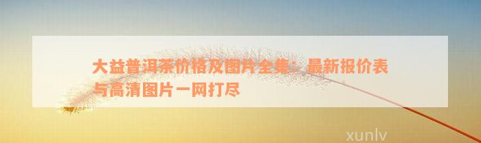 大益普洱茶价格及图片全集：最新报价表与高清图片一网打尽