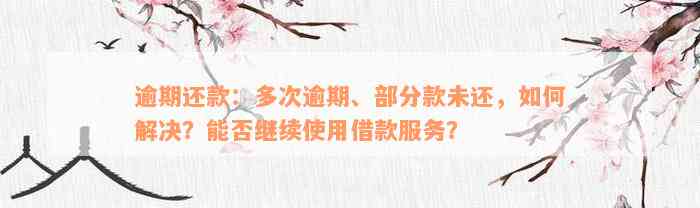 逾期还款：多次逾期、部分款未还，如何解决？能否继续使用借款服务？