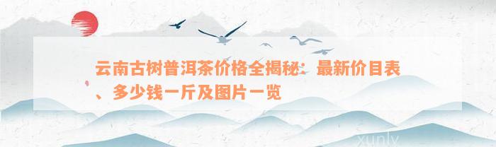 云南古树普洱茶价格全揭秘：最新价目表、多少钱一斤及图片一览