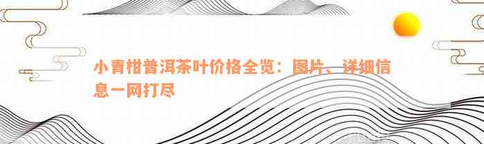 小青柑普洱茶叶价格全览：图片、详细信息一网打尽