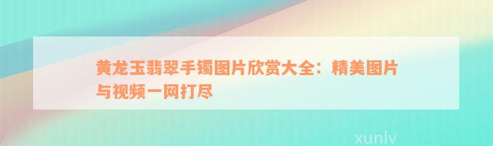 黄龙玉翡翠手镯图片欣赏大全：精美图片与视频一网打尽