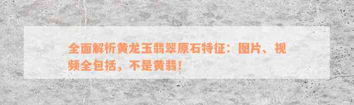 全面解析黄龙玉翡翠原石特征：图片、视频全包括，不是黄翡！