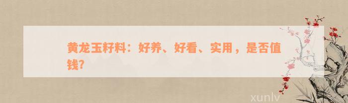 黄龙玉籽料：好养、好看、实用，是否值钱？