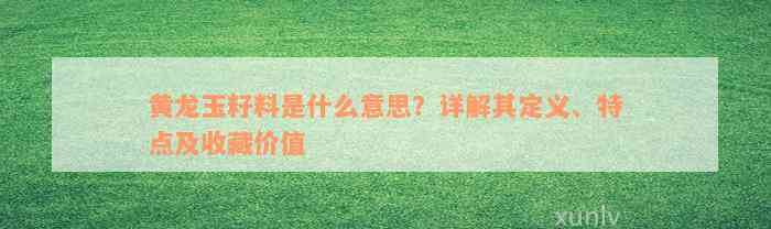 黄龙玉籽料是什么意思？详解其定义、特点及收藏价值