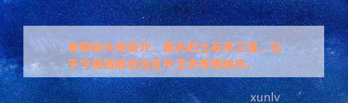 青铜峡大坝简介：最大的土石坝工程，位于宁夏回族自治区中卫市青铜峡市。