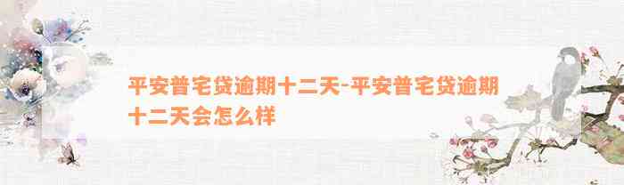 平安普宅贷逾期十二天-平安普宅贷逾期十二天会怎么样