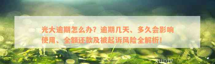 光大逾期怎么办？逾期几天、多久会影响使用、全额还款及被起诉风险全解析！