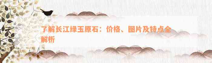 了解长江绿玉原石：价格、图片及特点全解析