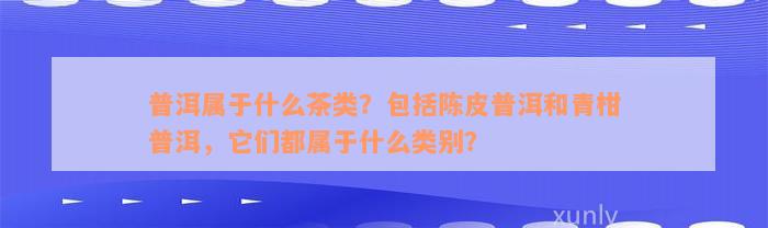 普洱属于什么茶类？包括陈皮普洱和青柑普洱，它们都属于什么类别？