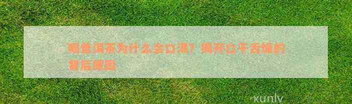 喝普洱茶为什么会口渴？揭开口干舌燥的背后原因