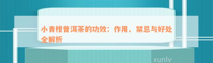 小青柑普洱茶的功效：作用、禁忌与好处全解析