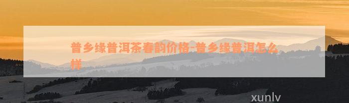 普乡缘普洱茶春韵价格-普乡缘普洱怎么样