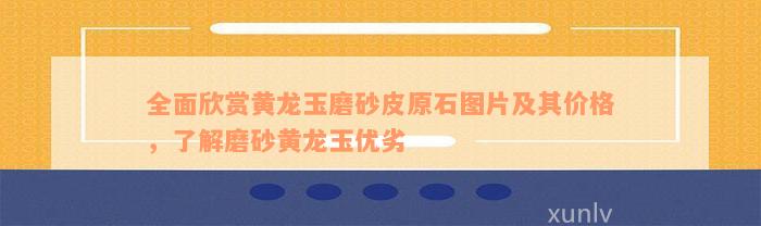 全面欣赏黄龙玉磨砂皮原石图片及其价格，了解磨砂黄龙玉优劣