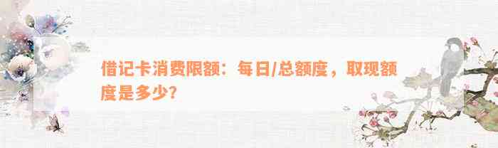 借记卡消费限额：每日/总额度，取现额度是多少？