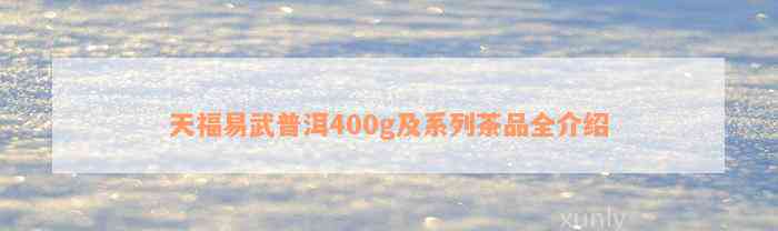 天福易武普洱400g及系列茶品全介绍