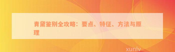 青黛鉴别全攻略：要点、特征、方法与原理