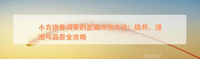 小方块普洱茶的正确冲泡方法：撬开、浸泡与品尝全攻略