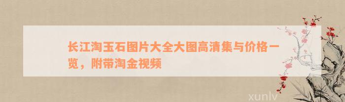 长江淘玉石图片大全大图高清集与价格一览，附带淘金视频