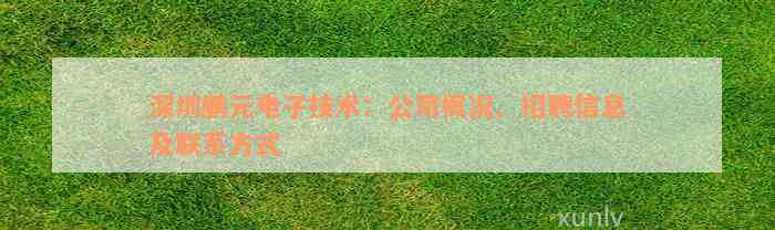 深圳鹏元电子技术：公司概况、招聘信息及联系方式