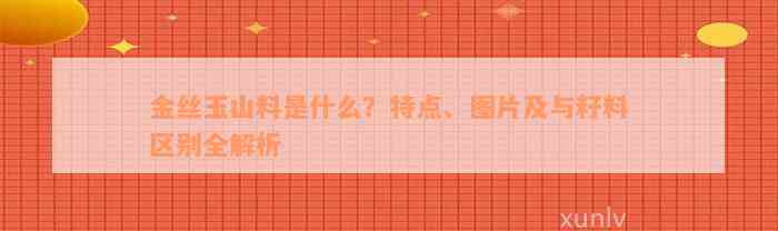 金丝玉山料是什么？特点、图片及与籽料区别全解析