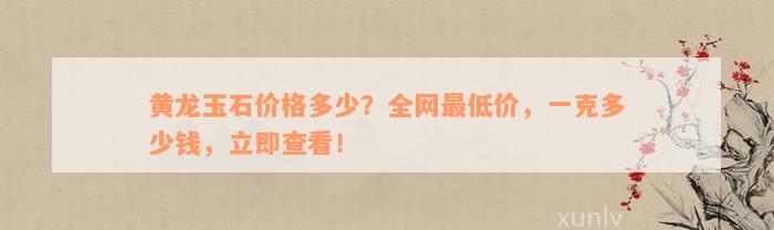 黄龙玉石价格多少？全网最低价，一克多少钱，立即查看！