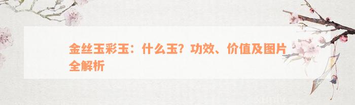 金丝玉彩玉：什么玉？功效、价值及图片全解析