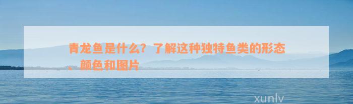 青龙鱼是什么？了解这种独特鱼类的形态、颜色和图片