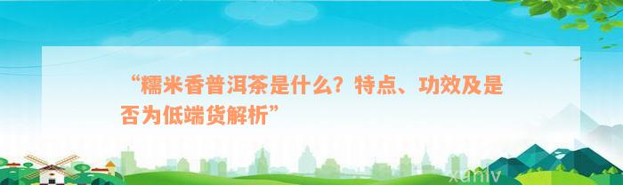 “糯米香普洱茶是什么？特点、功效及是否为低端货解析”