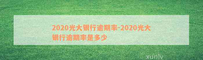 2020光大银行逾期率-2020光大银行逾期率是多少