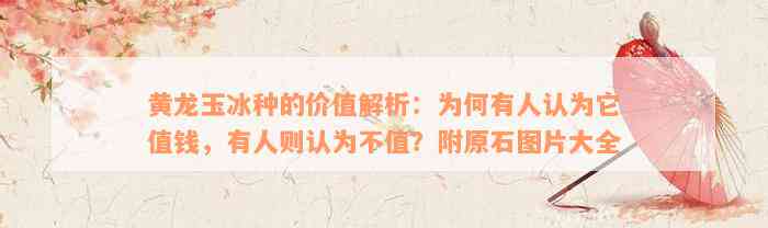 黄龙玉冰种的价值解析：为何有人认为它值钱，有人则认为不值？附原石图片大全