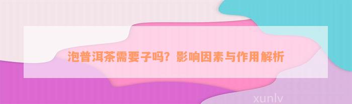 泡普洱茶需要子吗？影响因素与作用解析