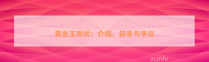 黄龙玉现状：介绍、前景与争议