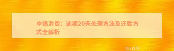 中银消费：逾期20天处理方法及还款方式全解析