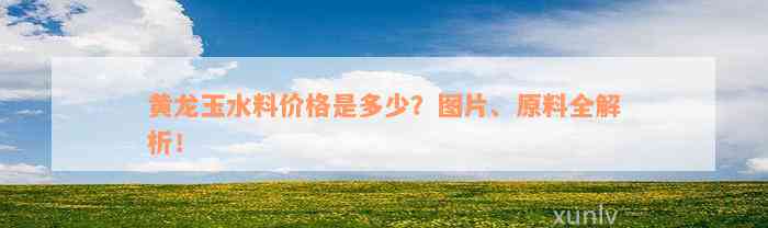 黄龙玉水料价格是多少？图片、原料全解析！