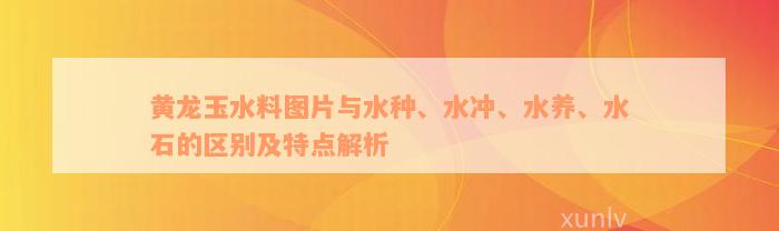 黄龙玉水料图片与水种、水冲、水养、水石的区别及特点解析