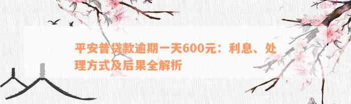 平安普贷款逾期一天600元：利息、处理方式及后果全解析