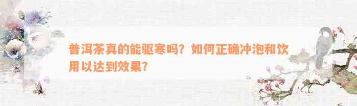 普洱茶真的能驱寒吗？如何正确冲泡和饮用以达到效果？