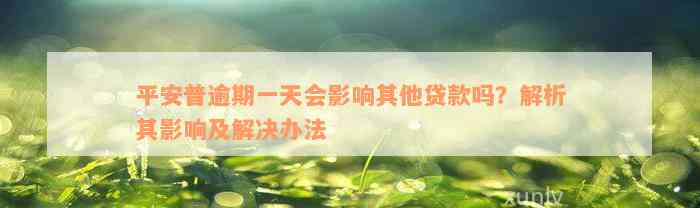 平安普逾期一天会影响其他贷款吗？解析其影响及解决办法