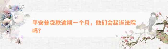 平安普贷款逾期一个月，他们会起诉法院吗？